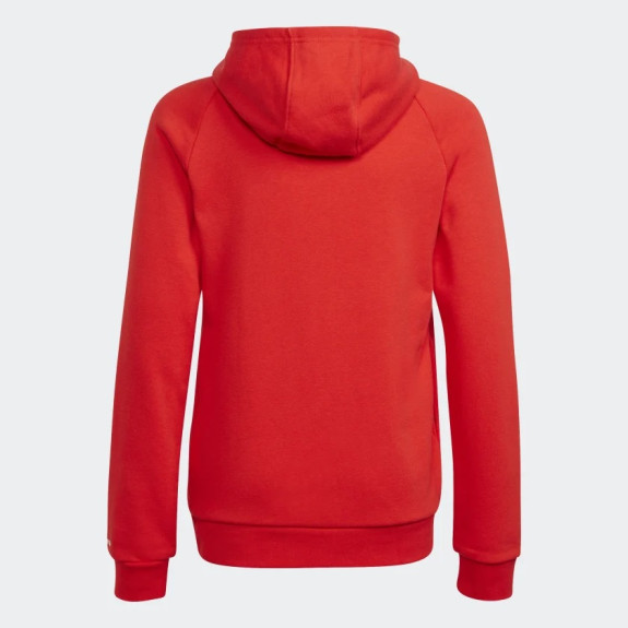 ADICOLOR HOODIE