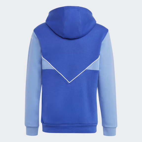 ADICOLOR HOODIE