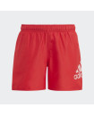 LOGO CLX SWIM SHORTS