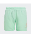 LOGO CLX SWIM SHORTS