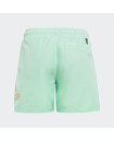 LOGO CLX SWIM SHORTS