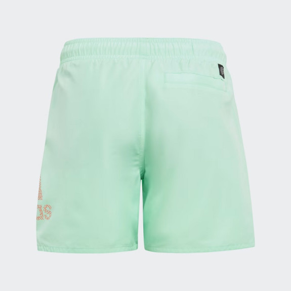 LOGO CLX SWIM SHORTS