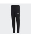 LG TE SPORT PANTS