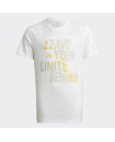 AEROREADY HIIT SLOGAN TEE