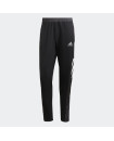 OWN THE RUN ASTRO PANTS