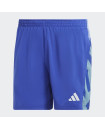 OWN THE RUN SEASONAL SHORTS