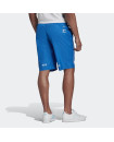 GRAPHICS COMMON MEMORY SWIM SHORTS