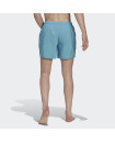 SHORT LENGTH SOLID SWIM SHORTS