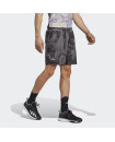 CLUB TENNIS GRAPHIC SHORTS