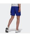 ESSENTIAL LOGO SHORTS