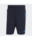 TRAIN ICONS TRAINING SHORTS