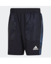 AEROREADY SEASONAL SPECIAL SHORTS