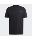 TERREX GRAPHIC MTN 2.0 TEE