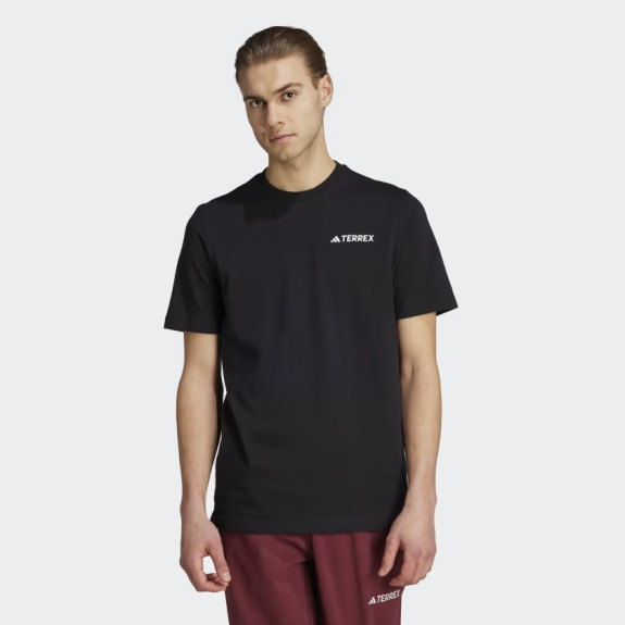 TERREX GRAPHIC MTN 2.0 TEE