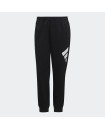 SPORTSWEAR FUTURE ICONS PANTS