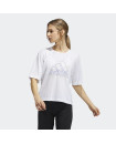 CAMP GRAPHIC UNIVERSAL SHORT SLEEVE TEE