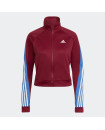 SPORTSWEAR TEAMSPORT TRACKSUIT 