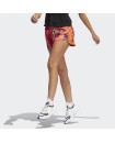 FARM RIO PACER 3-STRIPES KNIT SHORTS