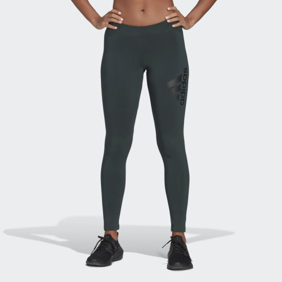 FUTURE ICONS BADGE OF SPORT LEGGINGS